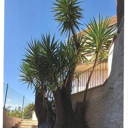 Il Tronchetto Bed & Breakfast Monte Libretti Dış mekan fotoğraf